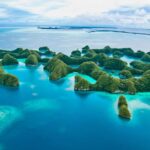 Palau'daki Denizanası Gölü Rehberiniz