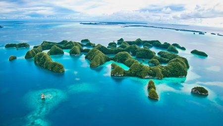 Palau’daki Denizanası Gölü Rehberiniz